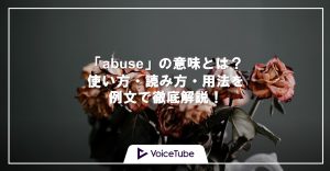 abuse 意味 使い方